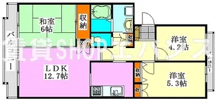 パークヒル飯山満【2階】の間取り