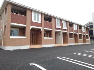 サンゴールドミズホAの画像