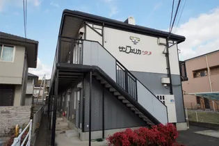 サンフェリカ'93の画像