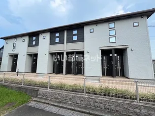 リッシュの画像