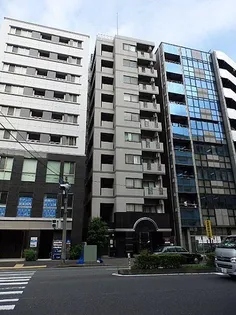 グリフィン横浜 ベイブリーズの画像