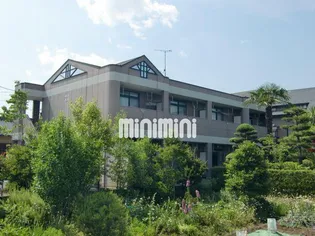 ぷるぷるの画像