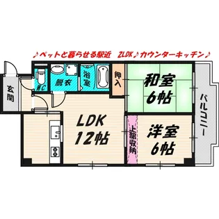 ラフィーネ鶴丸【2階】の間取り