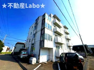 徳島県徳島市川内町榎瀬【マンション】の外観