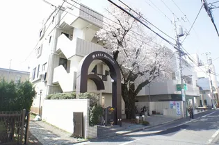 メイプル国立の画像