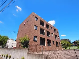 SAKURA AVENUEの画像
