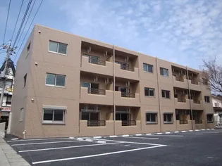 Y&M GENTRY AYUの画像