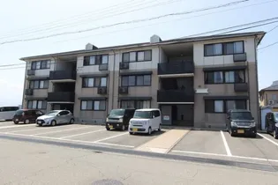 ロビュスト三栄IIの画像