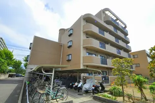 シャルマンシェソワの画像