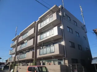 エクセル道風の画像