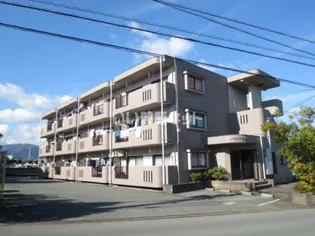 サンライズ宝塚の画像