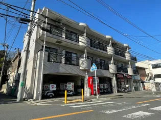 アムールフジの画像