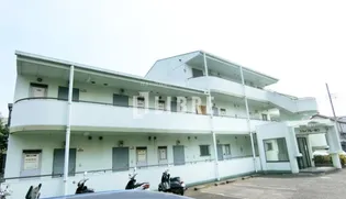 スカイブルー関口の画像