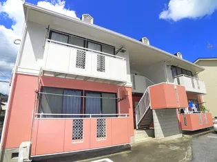 ペアグレースサクラAの画像