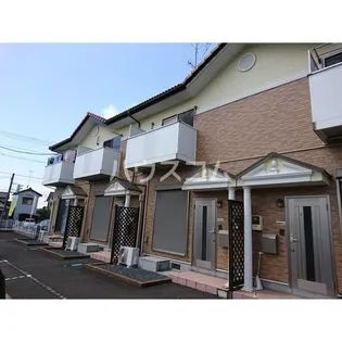 SUN FORESTの画像