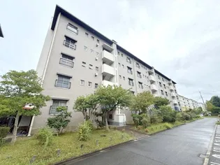 中登美第3団地E10号棟の画像