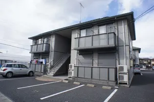 ホワイトオークAの画像