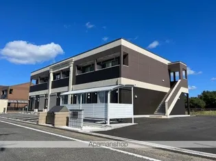 プリムロウズの画像