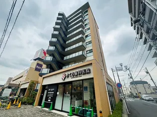 ボワ デ コガネの画像