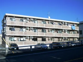 カトル セゾンの画像