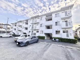 Cherry Blossom Kori【1階】の外観