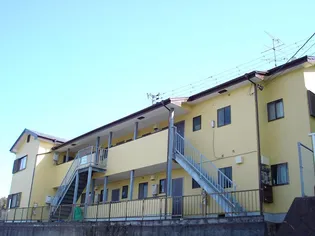 ハイランドくれもの画像