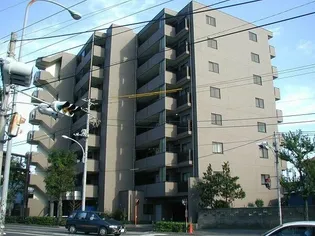 アスコットの画像