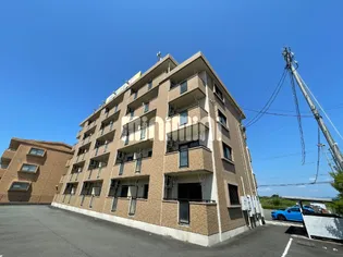 ハミング愛野の画像