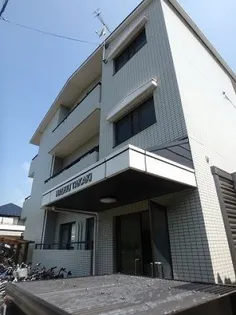 ハウスタカキの画像
