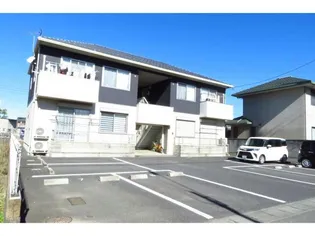 ティンカーベルの画像