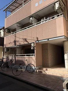 マゼンタの画像