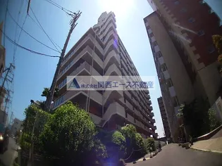 友井グレイスの画像