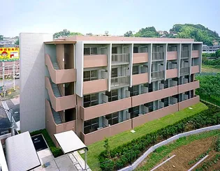 プランドールサクラの画像