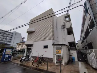 シロハイヌの画像