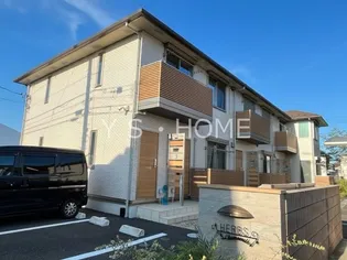 ハーブス カモミールの画像