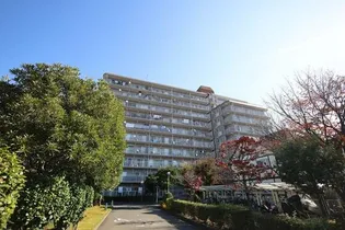 幸手スカイハイツの画像