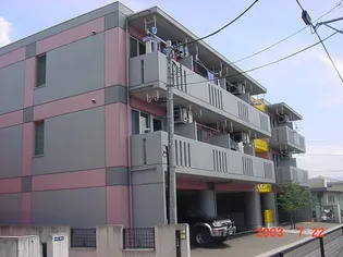 フレグランスニシナの画像