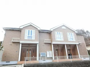 セトル グリーンの画像