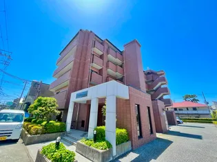 ジョイ ディールの画像