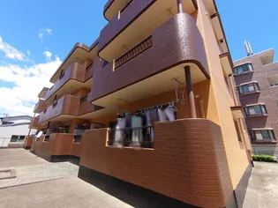 静岡県浜松市中央区細島町【マンション】の外観