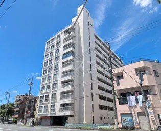 サーラ川口の画像