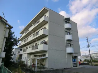 グリーンアップルの画像