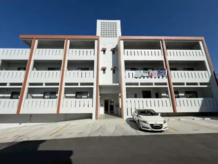 ルピナス順風の画像