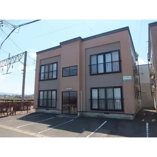 サンフラワーBの画像