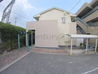 デイジーの画像