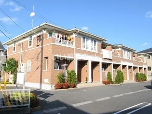 ミドルリアサニーの画像