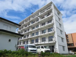 プレシャスワタナベの画像