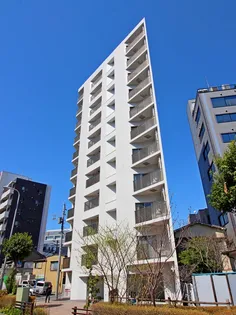 セントラル王子の画像