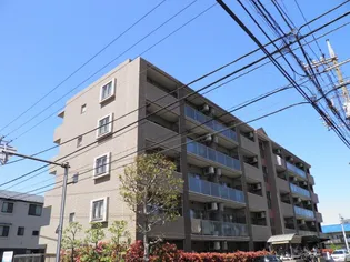 クラーレカーサの画像