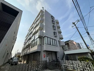 オリーブの画像